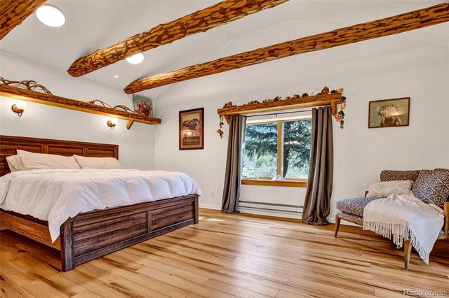 46 Singleton Road, Alma, CO 80420