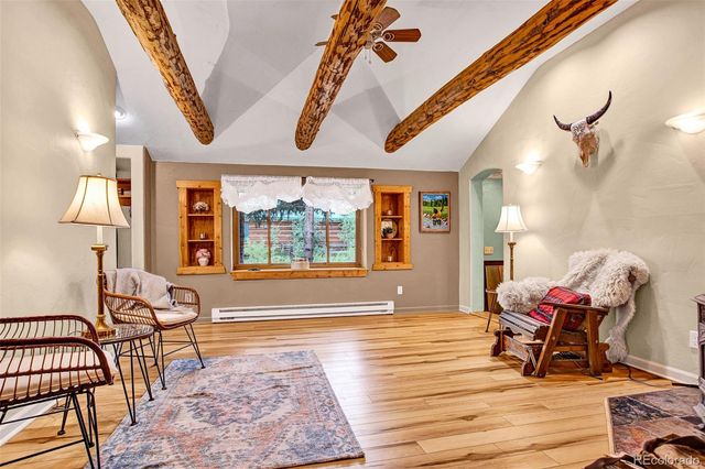 46 Singleton Road, Alma, CO 80420