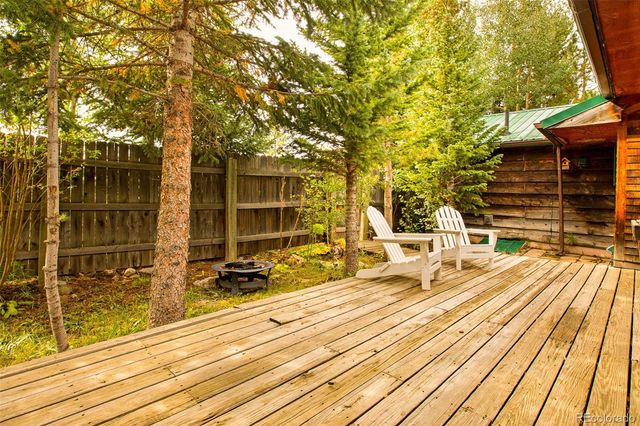 46 Singleton Road, Alma, CO 80420