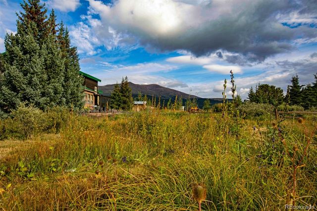 46 Singleton Road, Alma, CO 80420