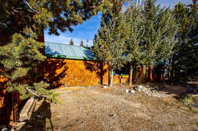 46 Singleton Road, Alma, CO 80420