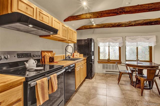 46 Singleton Road, Alma, CO 80420