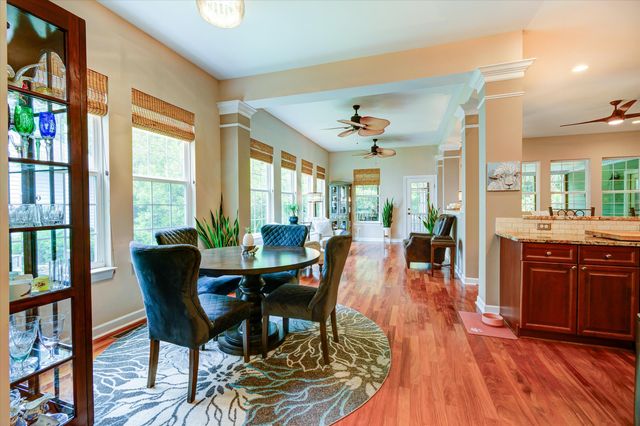 1736 James Basford Place, Mount Pleasant, SC 29466