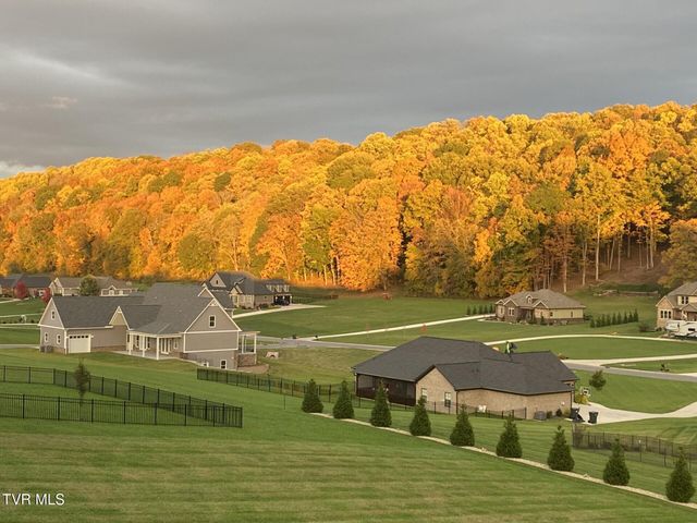 822 Hales Chapel Road, Johnson City, TN 37615