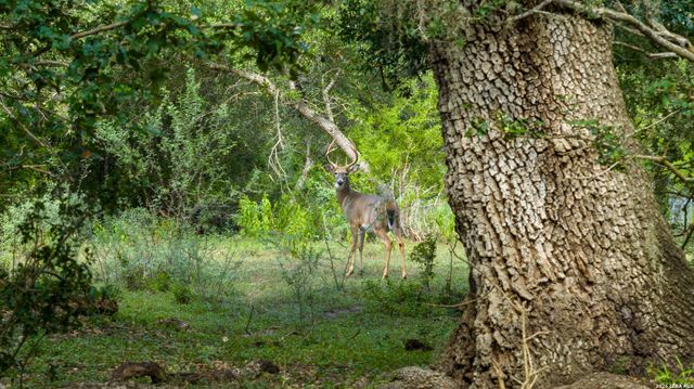 7915 County Road 203, Beeville, TX 78102