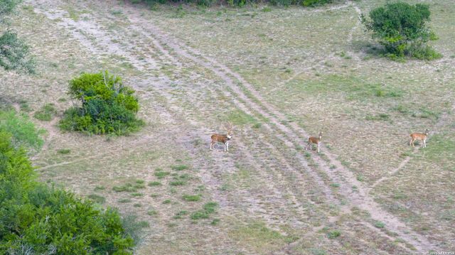 7915 County Road 203, Beeville, TX 78102