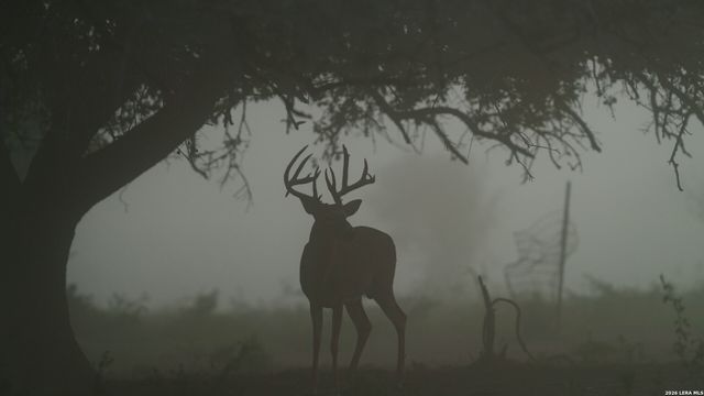 7915 County Road 203, Beeville, TX 78102