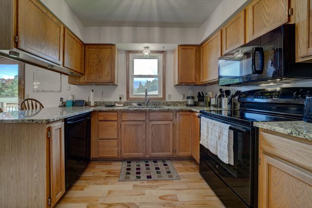 12199 S Lincoln Hollow, Cedar, MI 49621