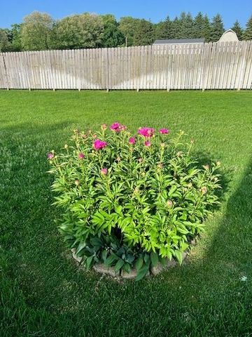 12199 S Lincoln Hollow, Cedar, MI 49621