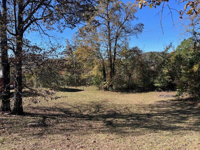 23 Lodge Lane, Mountain View, AR 72560