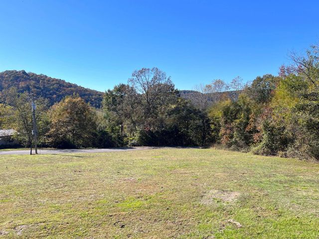 23 Lodge Lane, Mountain View, AR 72560