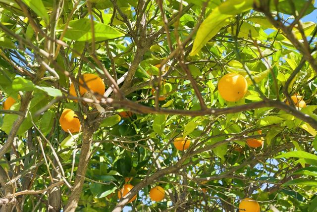 4754 Bannock Circle, San Jose, CA 95130