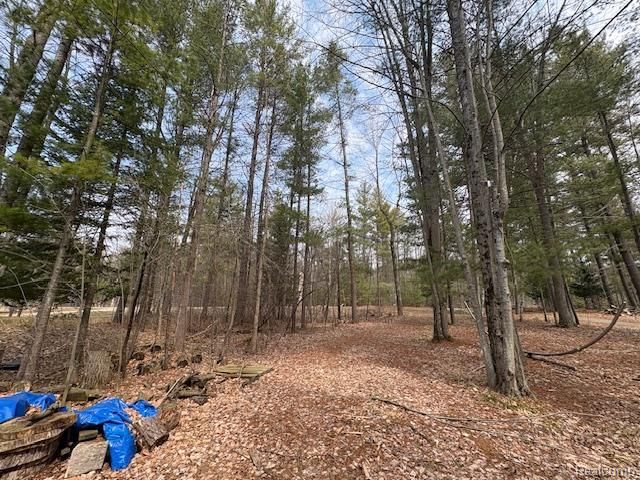 3615 Pinelands Road, Gladwin, MI 48624