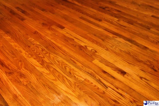 3656 Hwy 177, Wallace, SC 29596