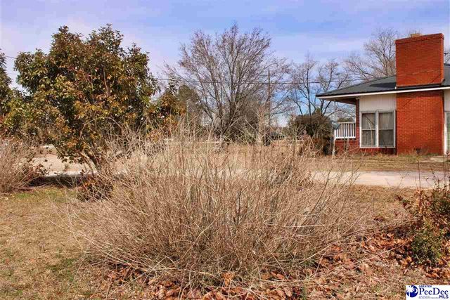 3656 Hwy 177, Wallace, SC 29596