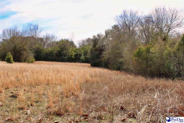 3656 Hwy 177, Wallace, SC 29596