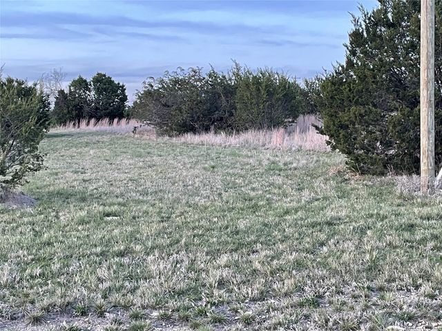 107 Gilmore Court, Lipan, TX 76462