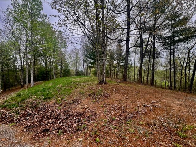 TR1-23 Majestic Mountain Trail, Murphy, NC 28906