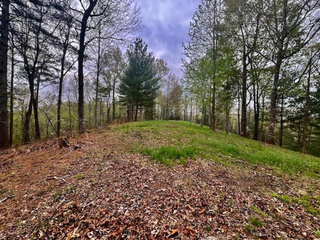 TR1-23 Majestic Mountain Trail, Murphy, NC 28906