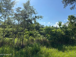 Robert Rhodes Road, Poplarville, MS 39470