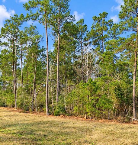 10529 Link Tree Lane, Willis, TX 77378