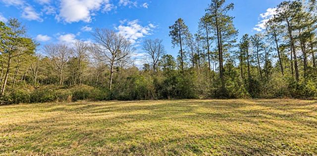 10529 Link Tree Lane, Willis, TX 77378
