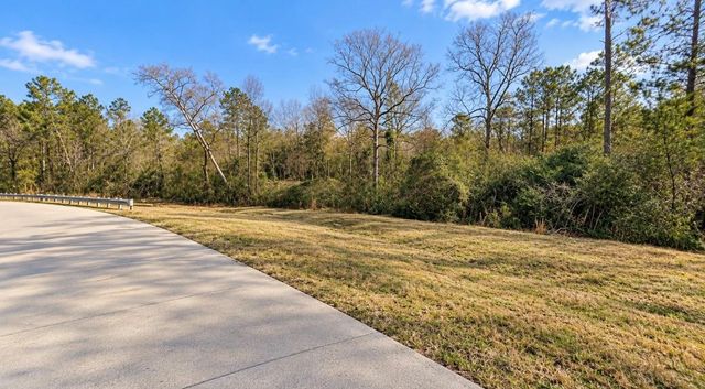 10529 Link Tree Lane, Willis, TX 77378