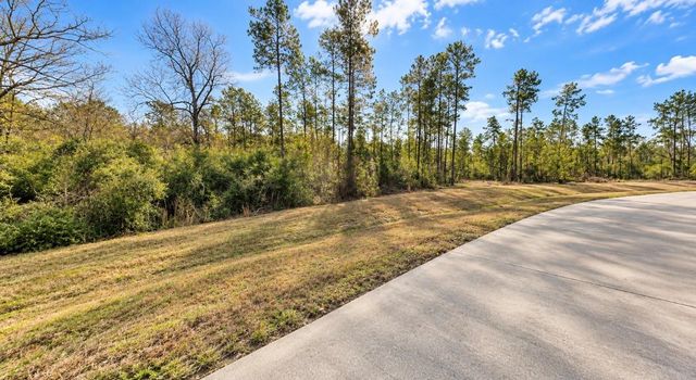 10529 Link Tree Lane, Willis, TX 77378