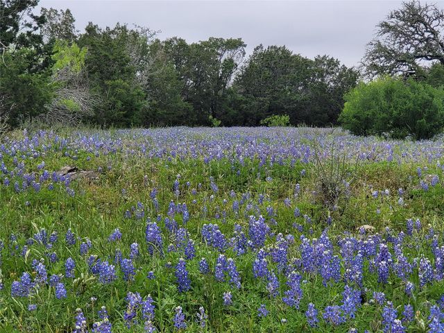 9939 County Road 404, Spicewood, TX 78669