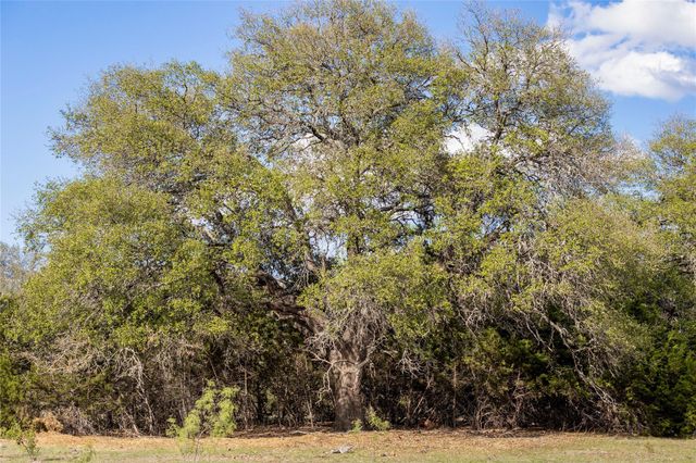 9939 County Road 404, Spicewood, TX 78669