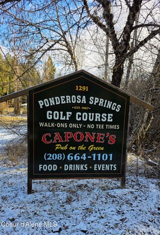 3271 E Springview DR, Coeur D'alene, ID 83814