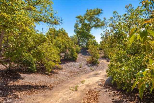 3738 Camaron Rd, Temecula, CA 92590