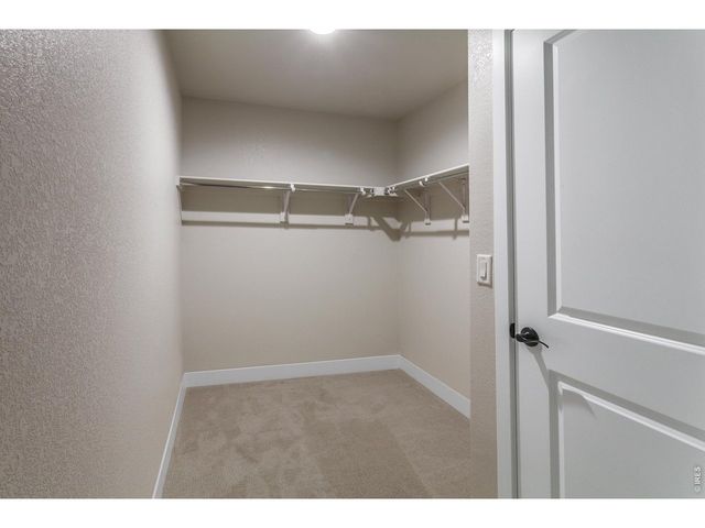 4763 Degas Dr, Loveland, CO 80538