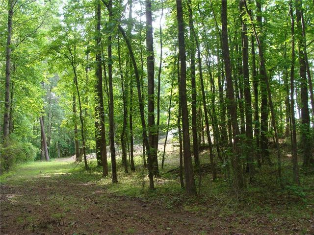 1611 Lake View Court, Loganville, GA 30052