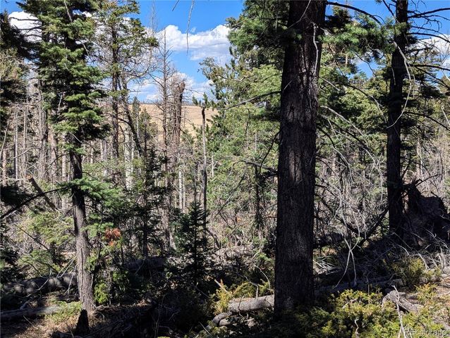 2938 Kemper Loop, Fort Garland, CO 81133