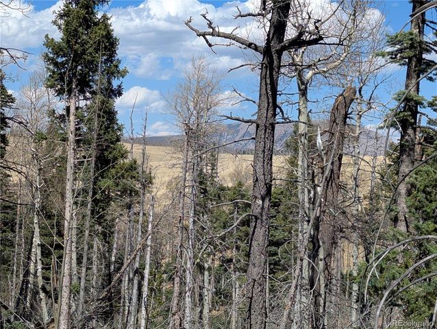 2938 Kemper Loop, Fort Garland, CO 81133