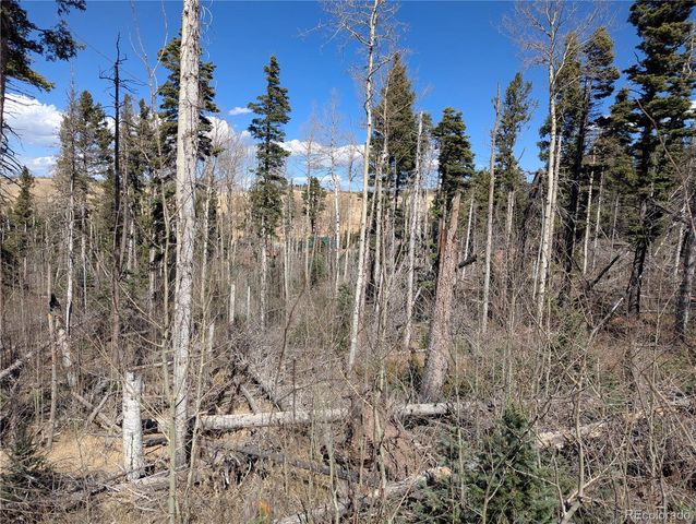 2938 Kemper Loop, Fort Garland, CO 81133