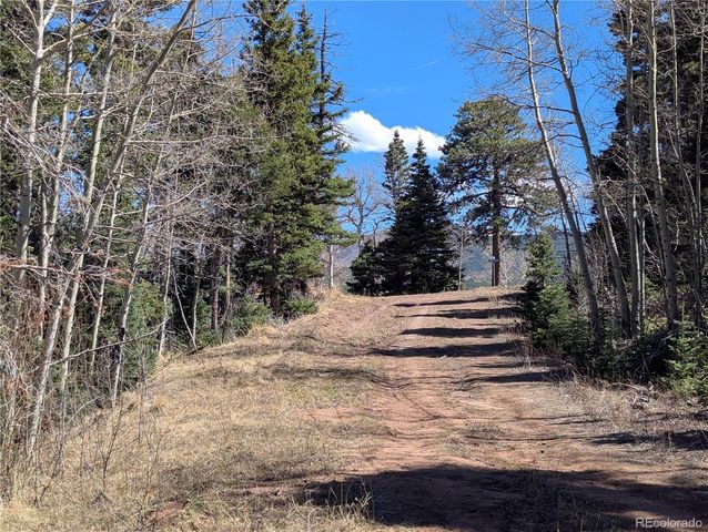 2938 Kemper Loop, Fort Garland, CO 81133