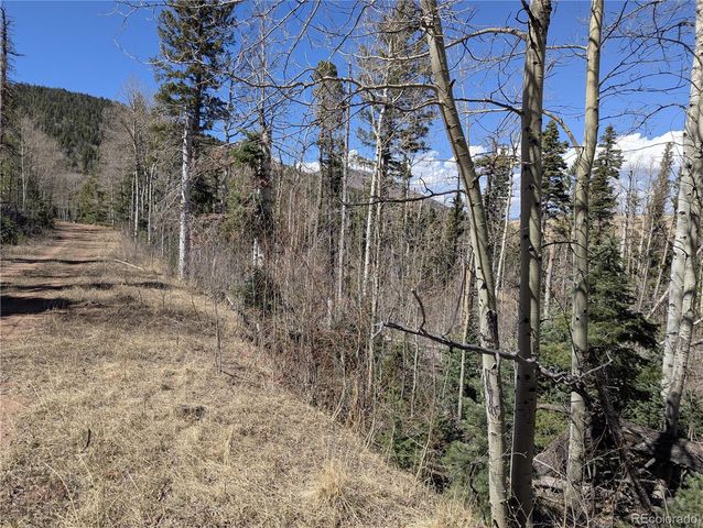 2938 Kemper Loop, Fort Garland, CO 81133