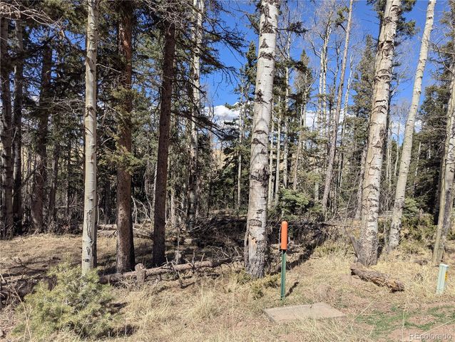 2938 Kemper Loop, Fort Garland, CO 81133