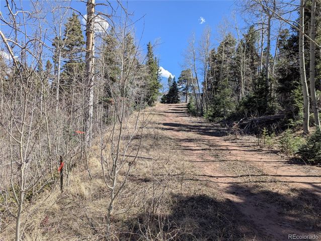 2938 Kemper Loop, Fort Garland, CO 81133