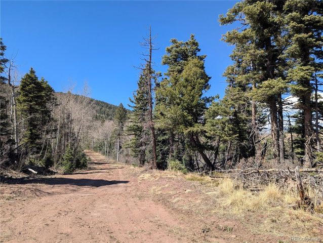 2938 Kemper Loop, Fort Garland, CO 81133