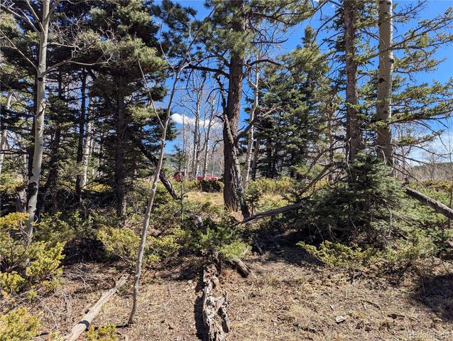 2938 Kemper Loop, Fort Garland, CO 81133