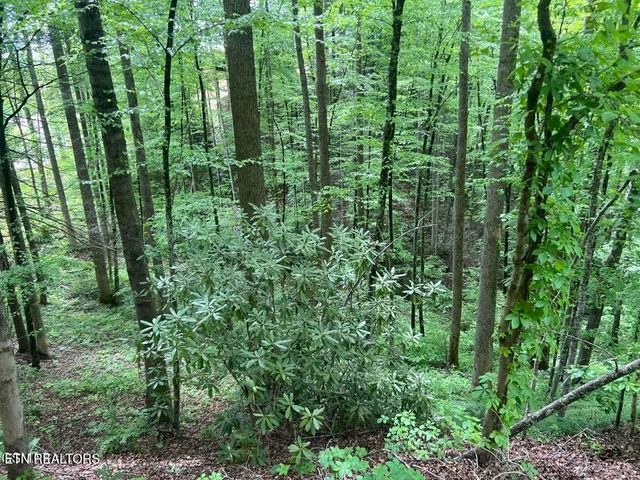 3 Old Cartertown Rd, Gatlinburg, TN 37738