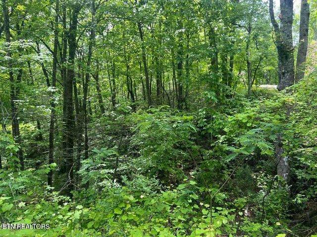 3 Old Cartertown Rd, Gatlinburg, TN 37738