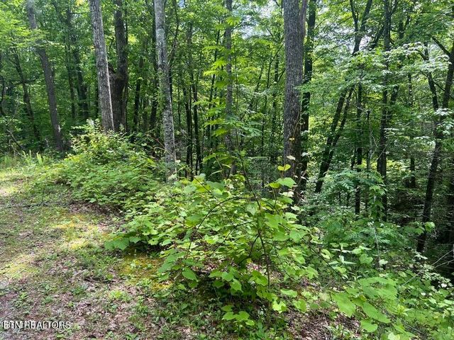3 Old Cartertown Rd, Gatlinburg, TN 37738