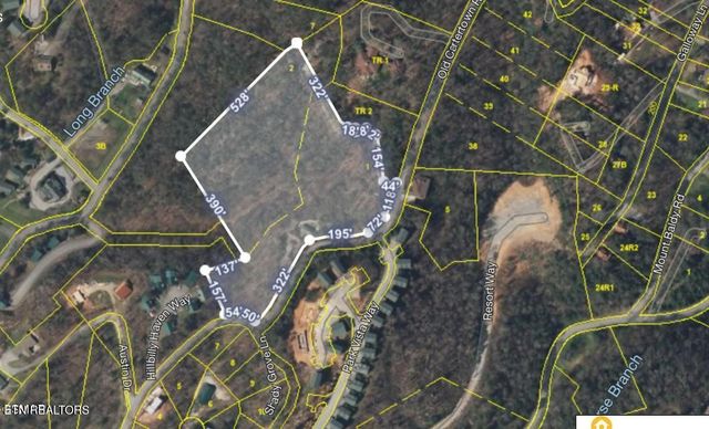 3 Old Cartertown Rd, Gatlinburg, TN 37738