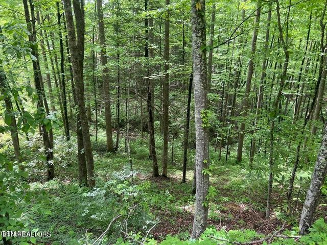 3 Old Cartertown Rd, Gatlinburg, TN 37738