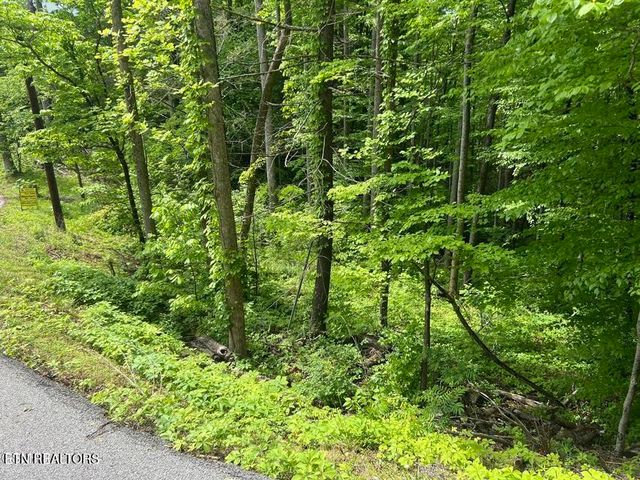 3 Old Cartertown Rd, Gatlinburg, TN 37738