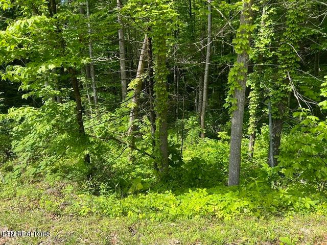 3 Old Cartertown Rd, Gatlinburg, TN 37738